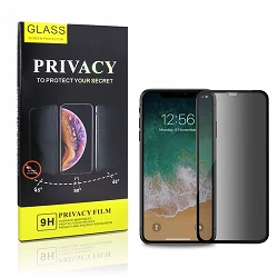 tempered glass Privacidad iPhone XR / 11 display protector 5D edge