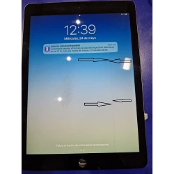 Pantalla Completa iPad Air 2. Defecto: Linea vertica
